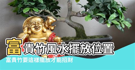 辦公室聚寶盆|【聚寶盆怎麼放】招財必備！揭秘聚寶盆最佳擺放位置。